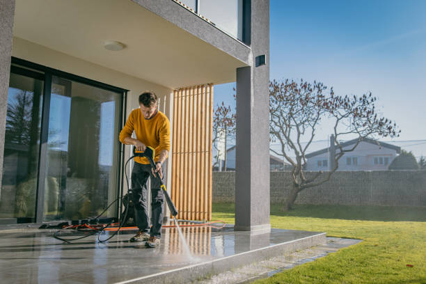 Best Roof Cleaning and Mildew Removal in Evans, CO